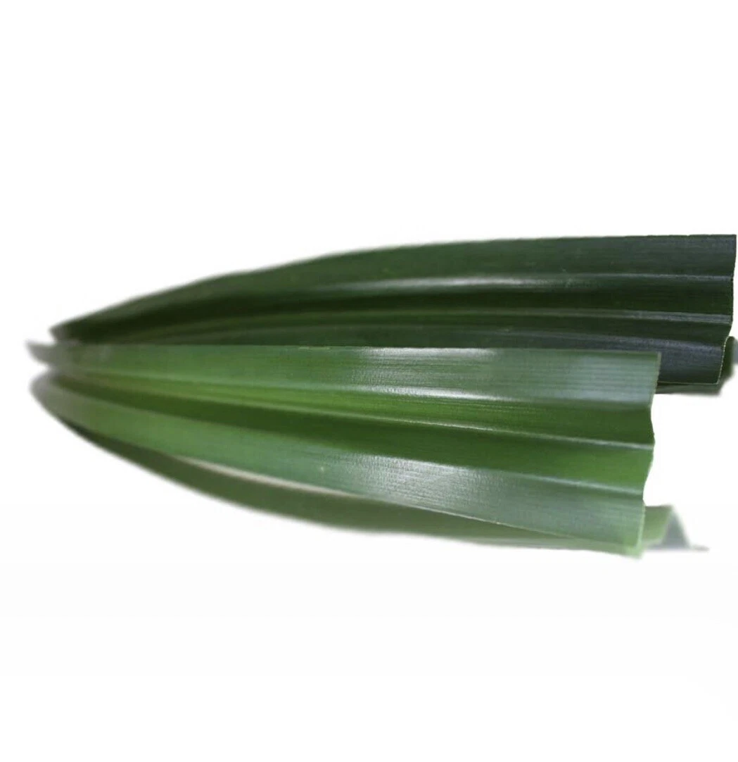 Pandan leaves FRESH & AROMATIC