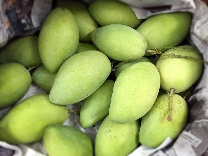 Raw Green Mango