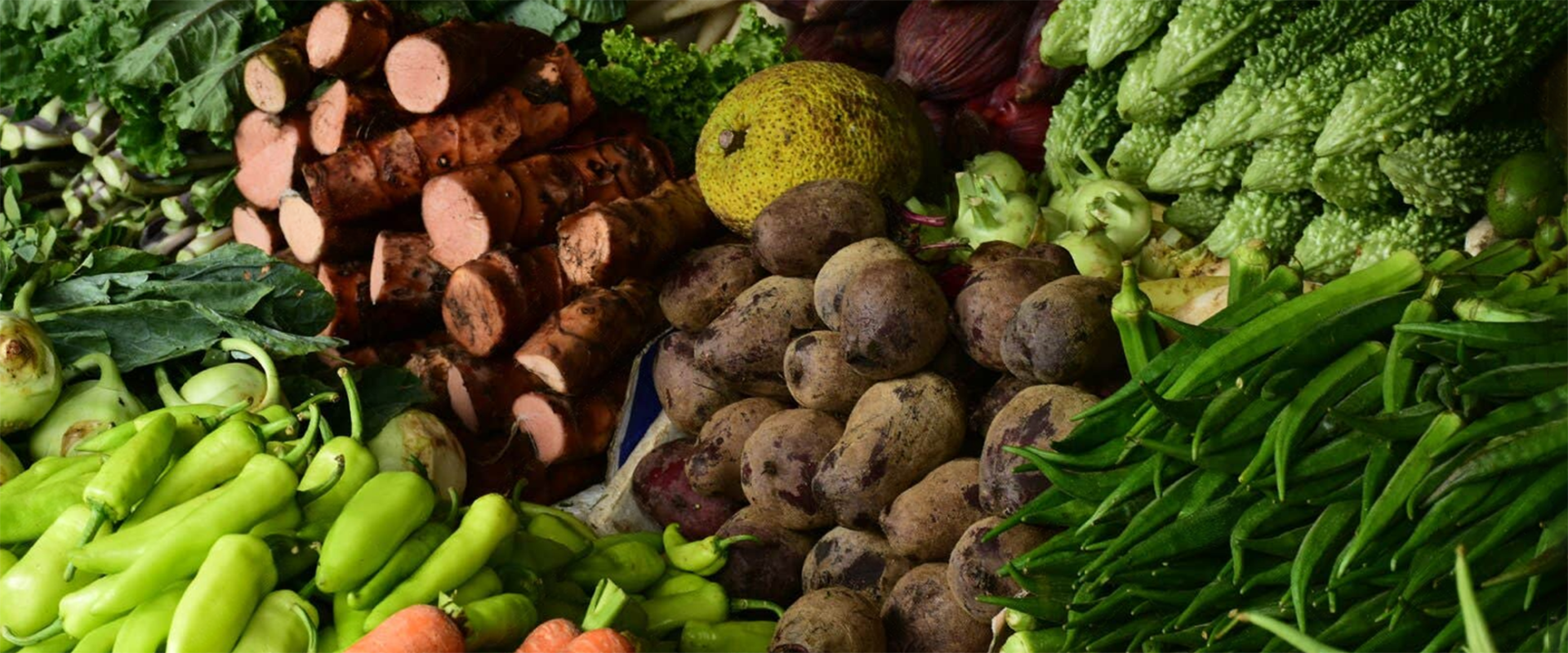 slider image 1621243260e1af0c20-0