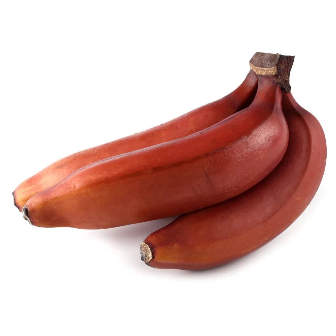 4 x Red Banana Fruit Fresh Rare Banana