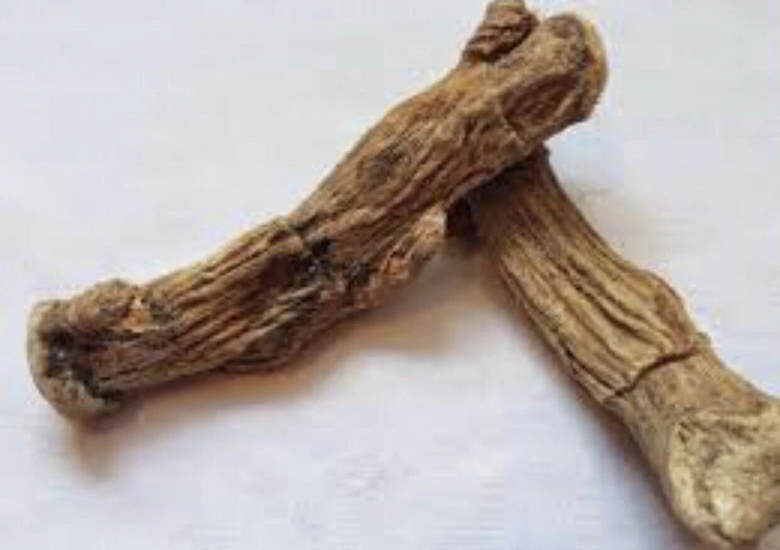 Sweet Flag Dried Root Herb /Acorus Calamus/Vasambu/Bach - 100g